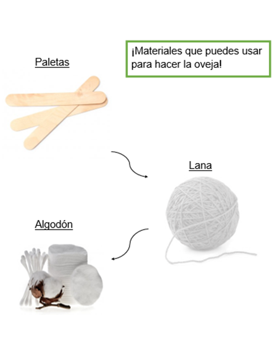 Tercer año, unidad 1, actividad 1, material para elaborar oveja